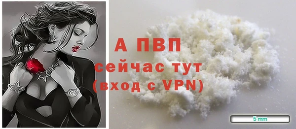 стафф Михайлов