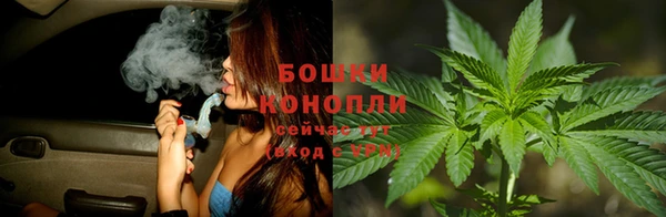 ГАЛЛЮЦИНОГЕННЫЕ ГРИБЫ Михайловск