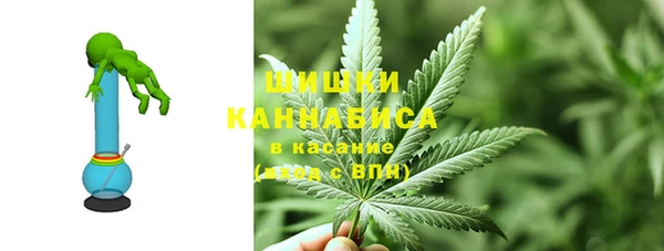 стафф Михайлов