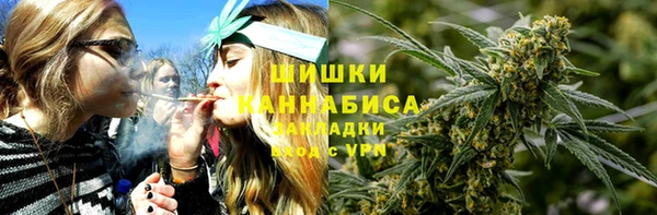 ГАЛЛЮЦИНОГЕННЫЕ ГРИБЫ Михайловск