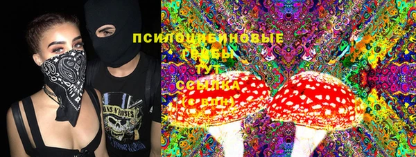гидропоника Михайловка