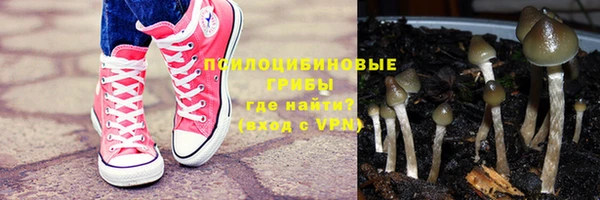 гидропоника Михайловка