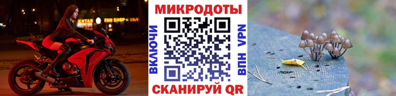 что такое наркотик  Аргун  Галлюциногенные грибы Psilocybe 