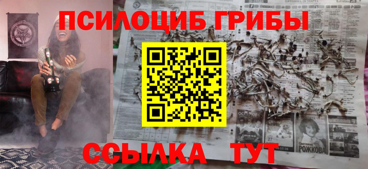 Псилоцибиновые грибы Cubensis Аргун