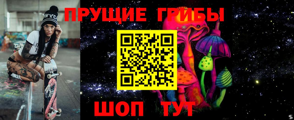 Псилоцибиновые грибы Psilocybe Аргун